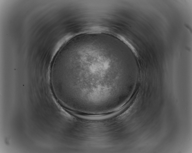 X0000091851477200709121301