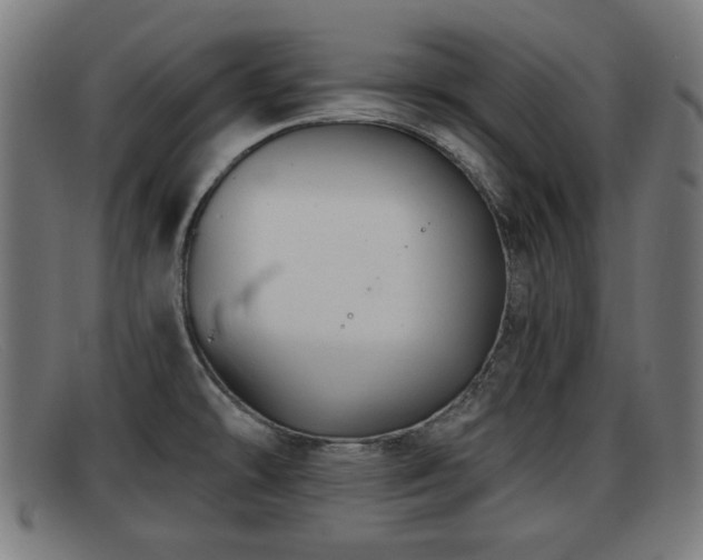 X0000091851478200709121301