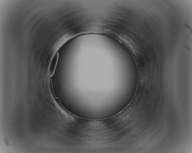X0000091851479200709121301