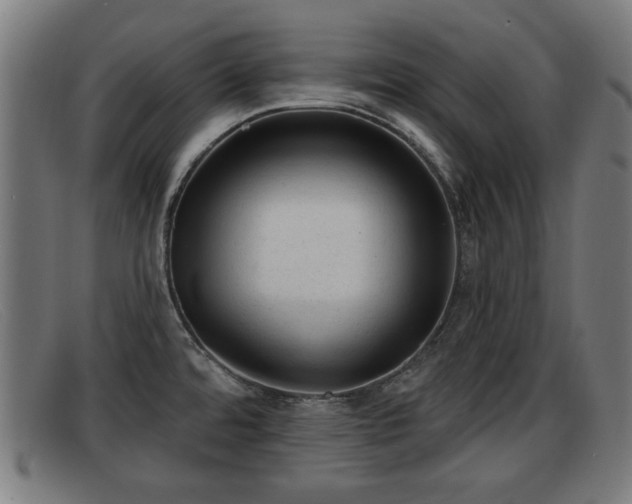 X0000091851480200709121301