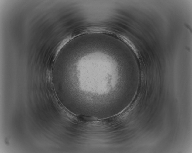 X0000091851481200709121301