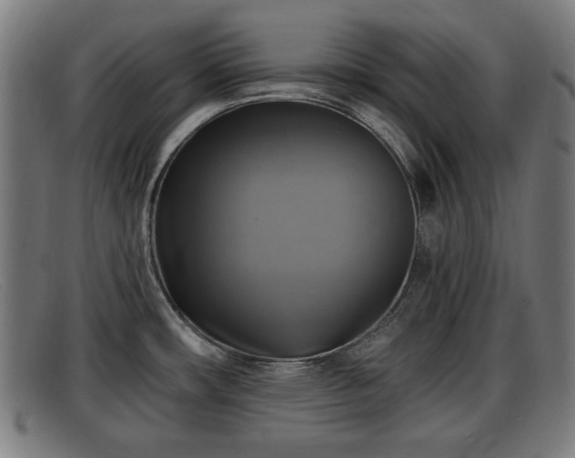 X0000091851482200709121301