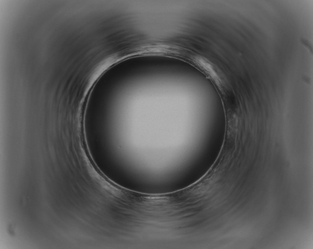 X0000091851483200709121301