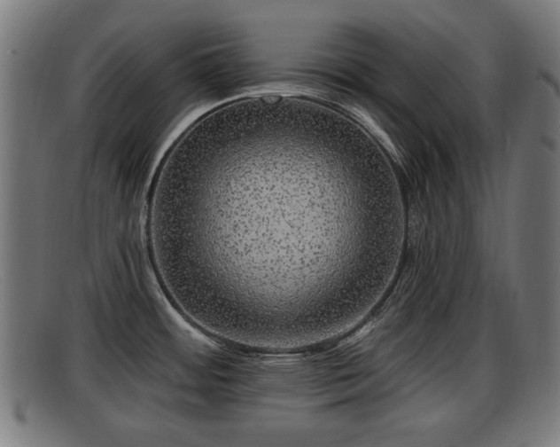 X0000091851484200709121301