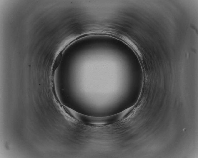 X0000091851485200709121301