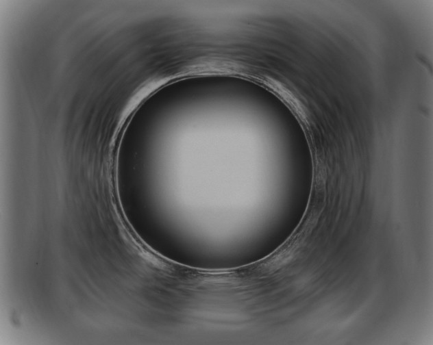 X0000091851486200709121301