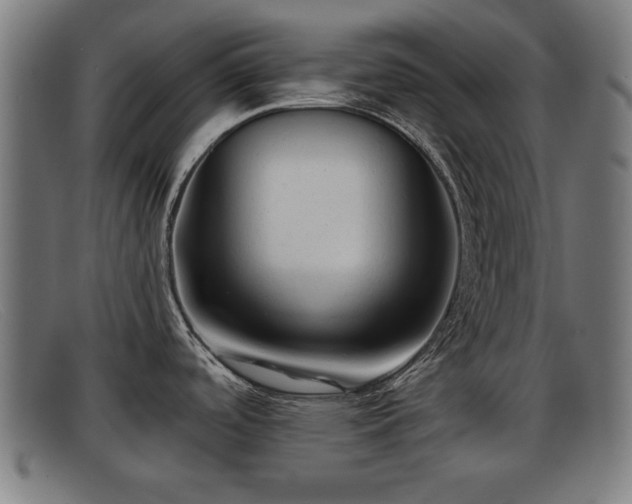 X0000091851488200709121301