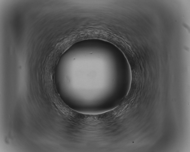 X0000091851489200709121300