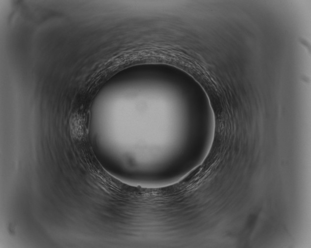 X0000091851490200709121300