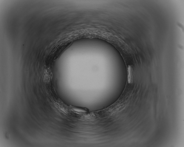 X0000091851491200709121300