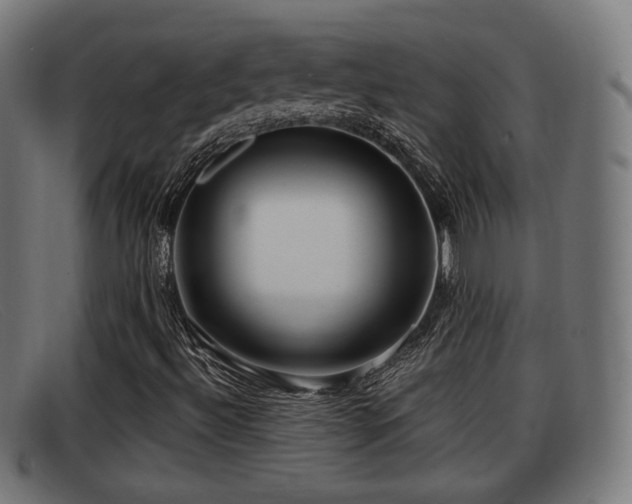 X0000091851492200709121300