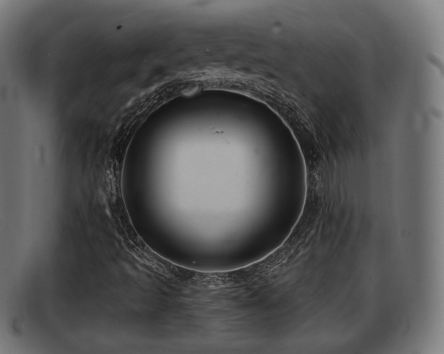 X0000091851493200709121300