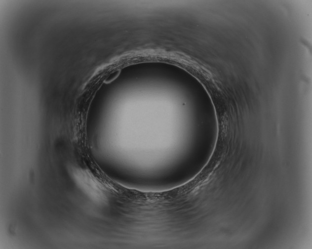 X0000091851494200709121300
