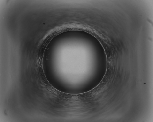 X0000091851495200709121300
