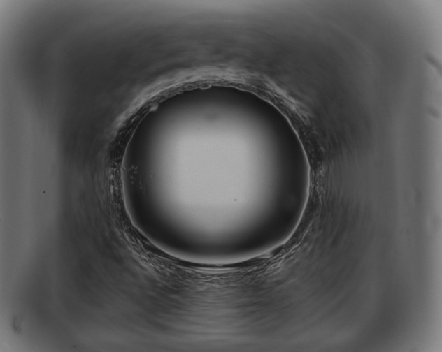 X0000091851496200709121300