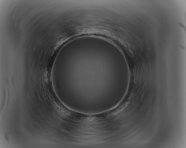 X0000091851497200709121300