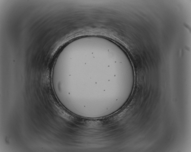 X0000091851498200709121300