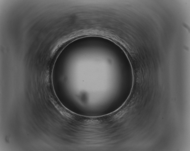 X0000091851499200709121300
