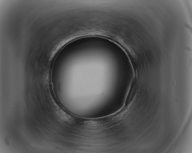 X0000091851500200709121300