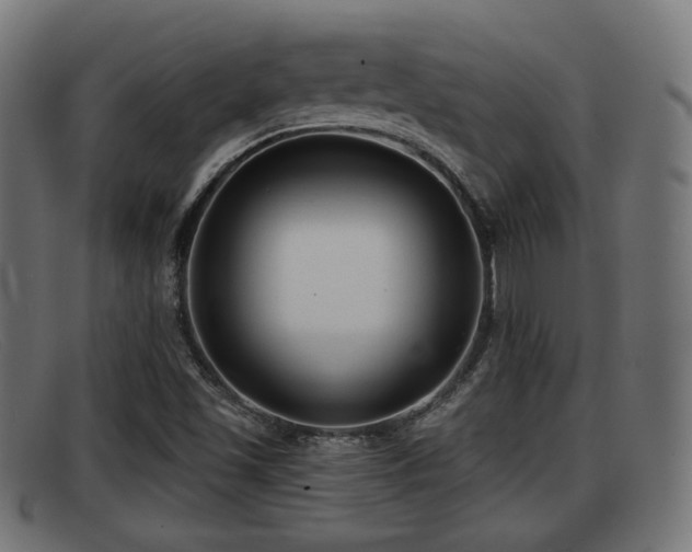 X0000091851501200709121300