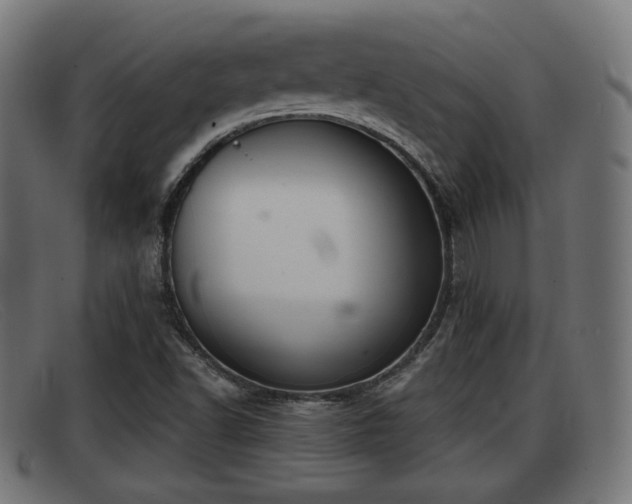 X0000091851502200709121300