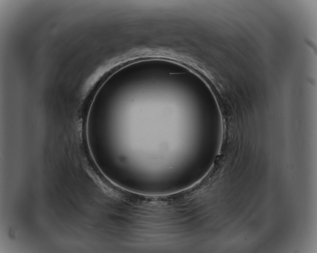 X0000091851503200709121300