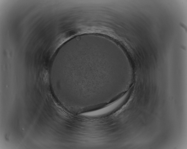 X0000091851505200709121300