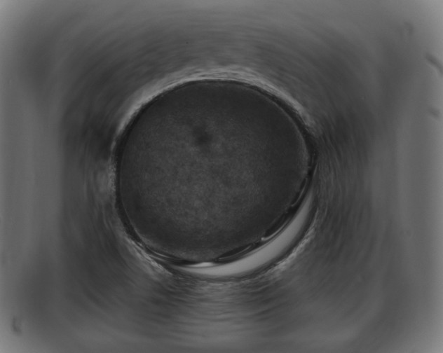 X0000091851506200709121300
