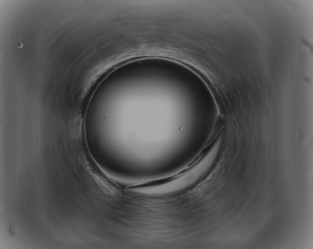X0000091851507200709121300