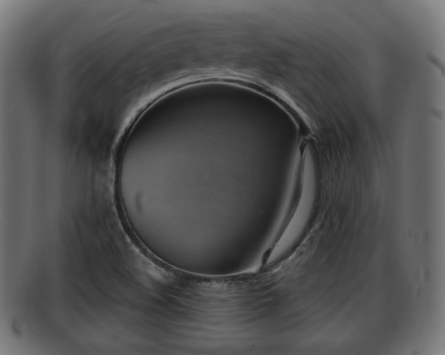 X0000091851508200709121300
