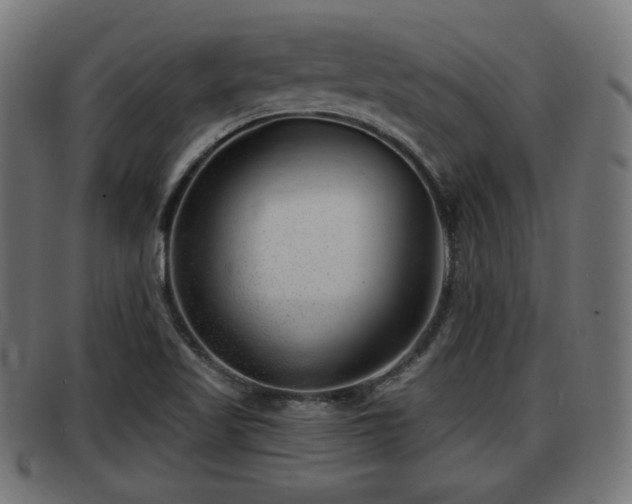 X0000091851509200709121300