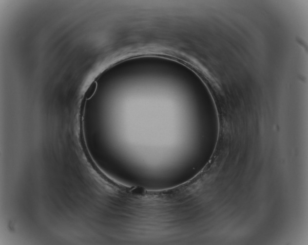 X0000091851512200709121300