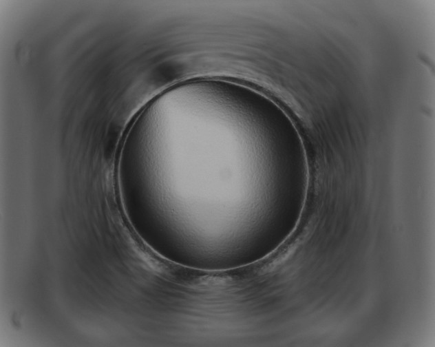 X0000091851513200709121300
