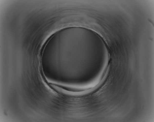 X0000091851515200709121300
