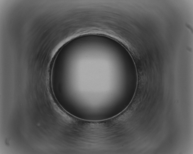 X0000091851518200709121300