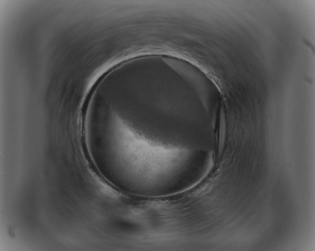 X0000091851519200709121300