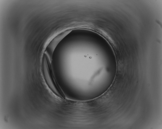 X0000091851520200709121300