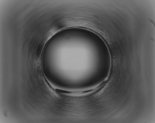 X0000091851521200709121300