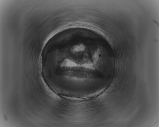 X0000091851522200709121300