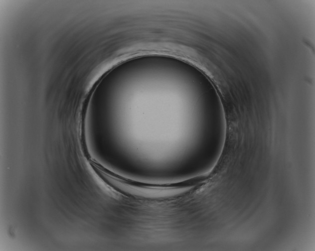 X0000091851523200709121300
