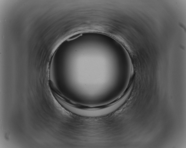X0000091851524200709121301