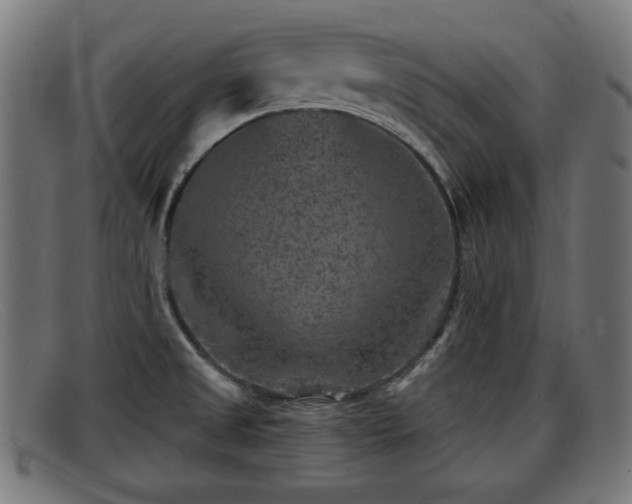X0000091851525200709121301