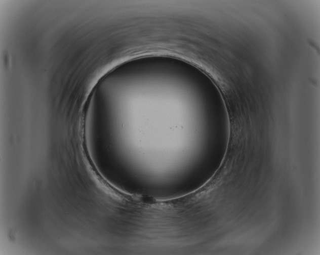 X0000091851526200709121301