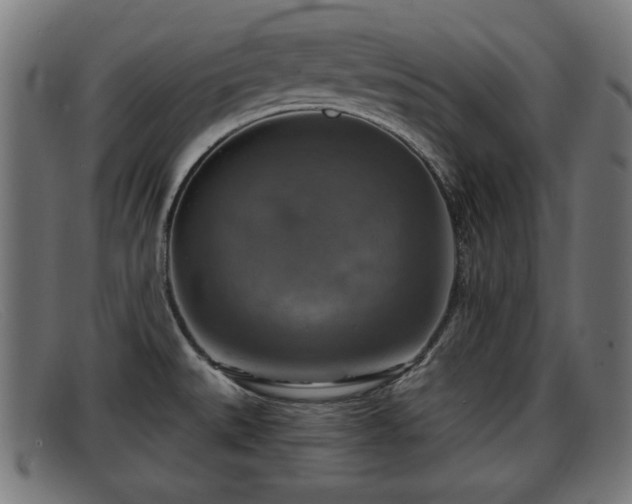 X0000091851527200709121301