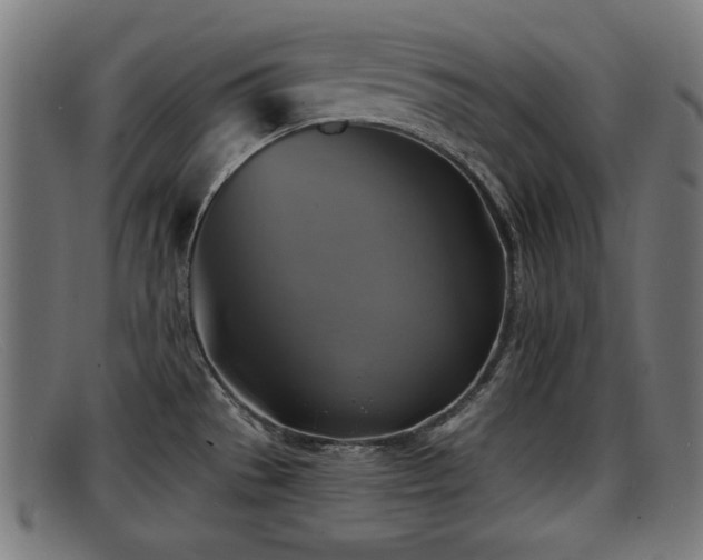 X0000091851529200709121301