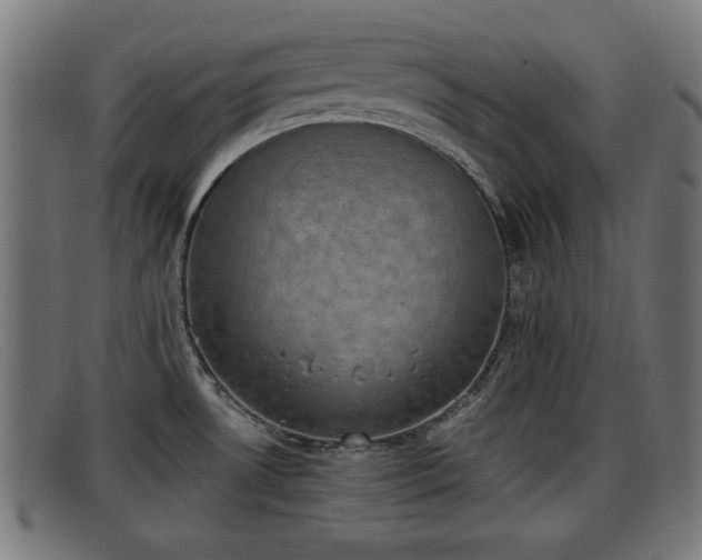 X0000091851530200709121301