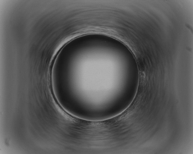 X0000091851531200709121301