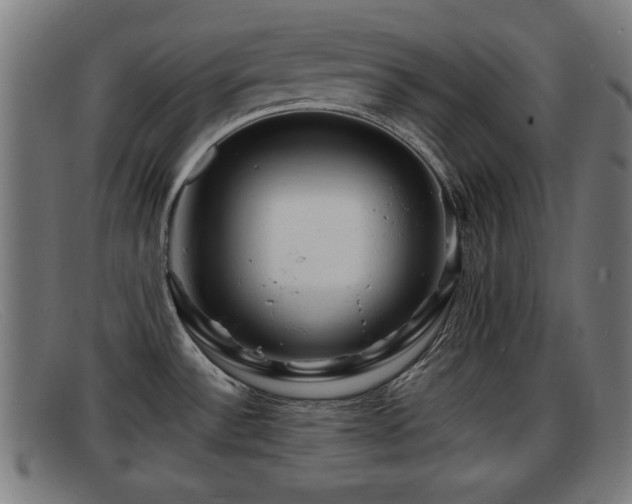 X0000091851532200709121301