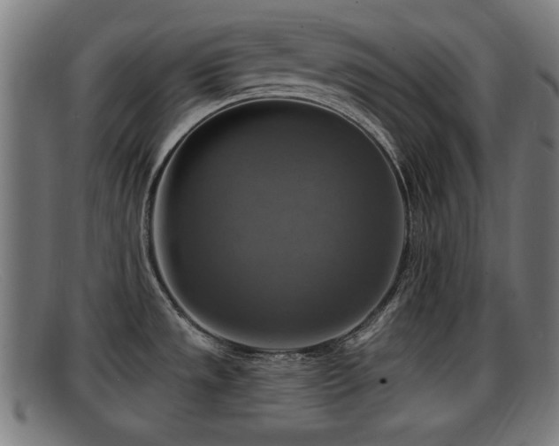 X0000091851533200709121301