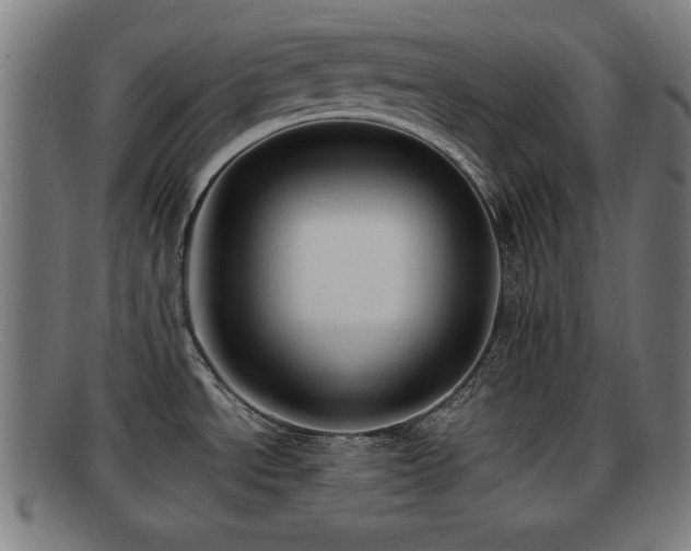 X0000091851534200709121301